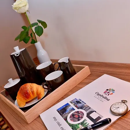 Capitolina Chic 3* Cluj-Napoca